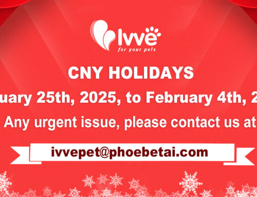 Happy Chinese new year!