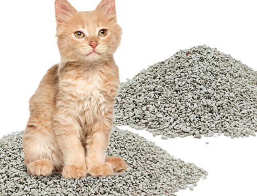 World’s Best Zeolite Broken Tofu Cat Litter Flushable