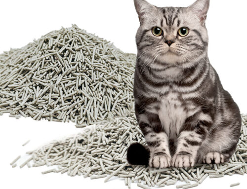 Low Dust Zeolite Column Tofu Cat Litter