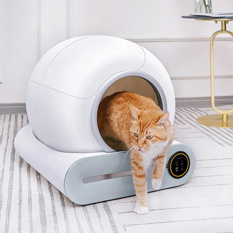 Smart Cat Litter Box